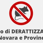 Derattizzazione Novara: Risolvi subito il tuo Problema!
